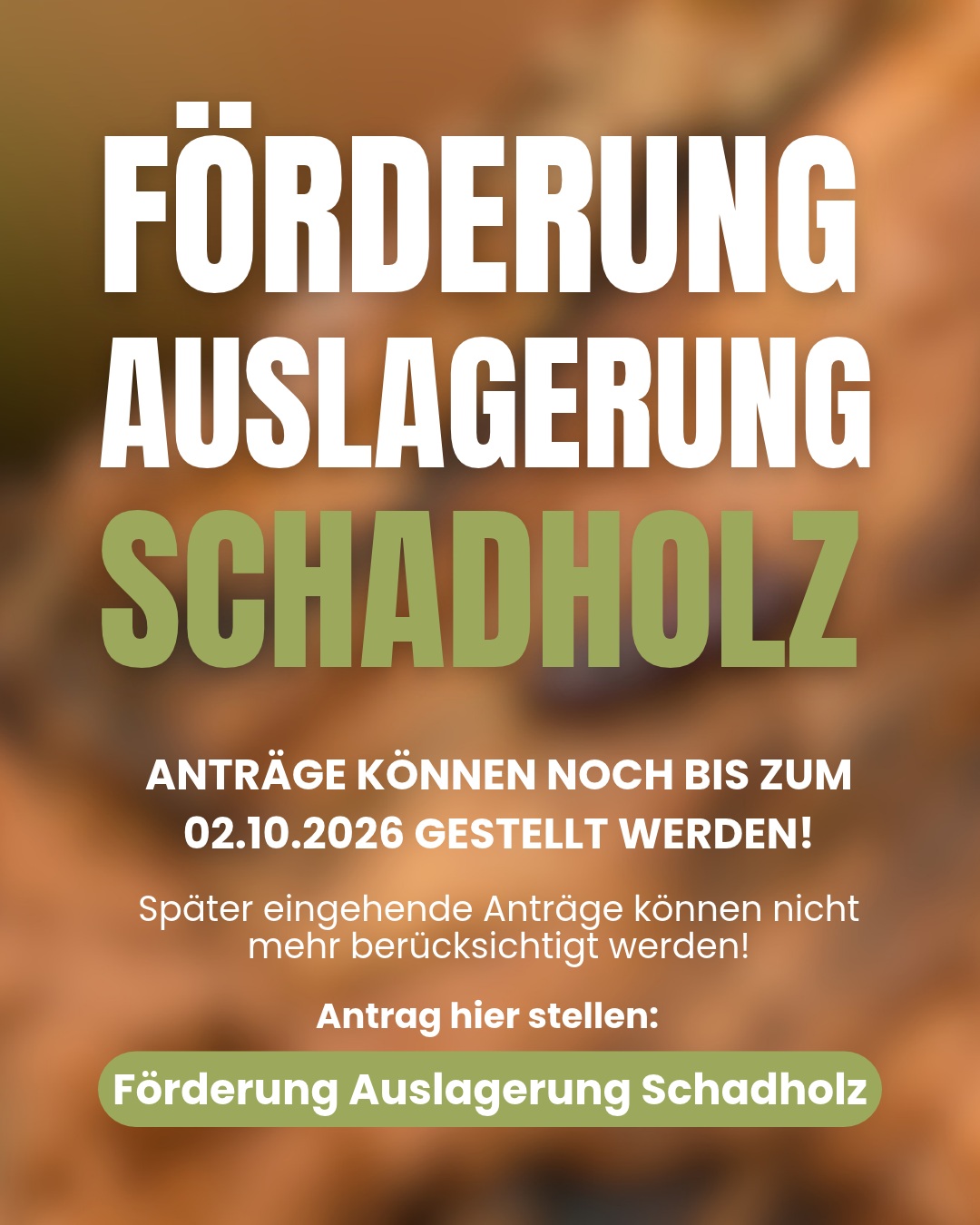 AuslagerungHomepageFrist
