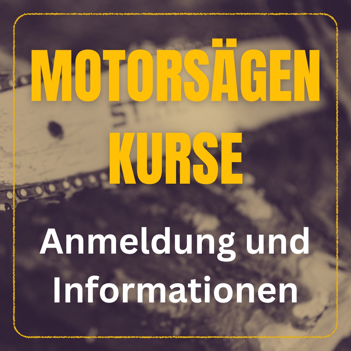 Anmeldung Motorsaegenkurs