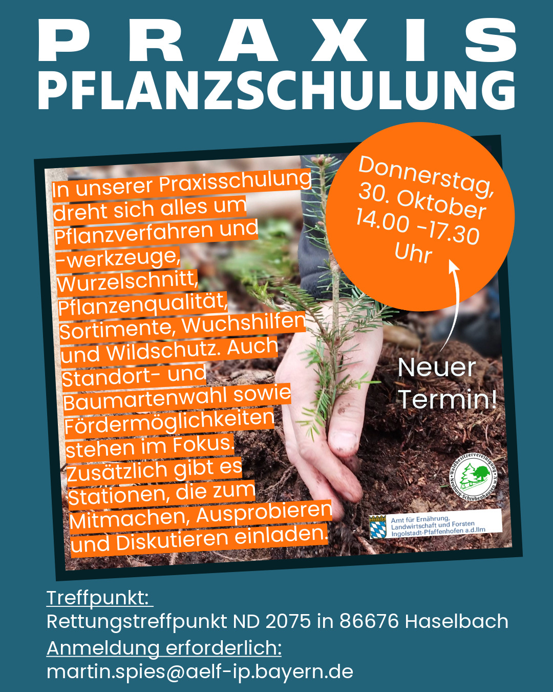 OnlineSchulung Krankheiten Laub