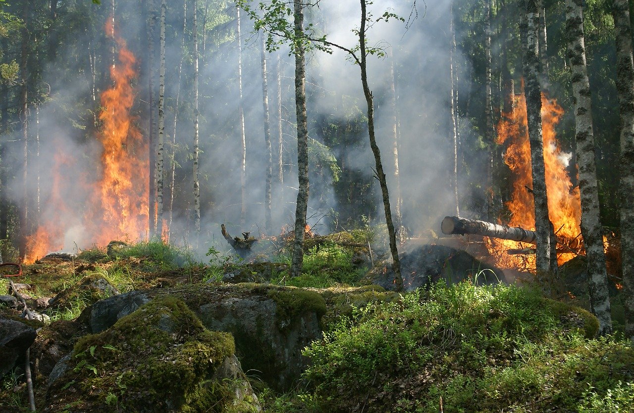 Vorsicht im Wald - hohe Waldbrandgefahr