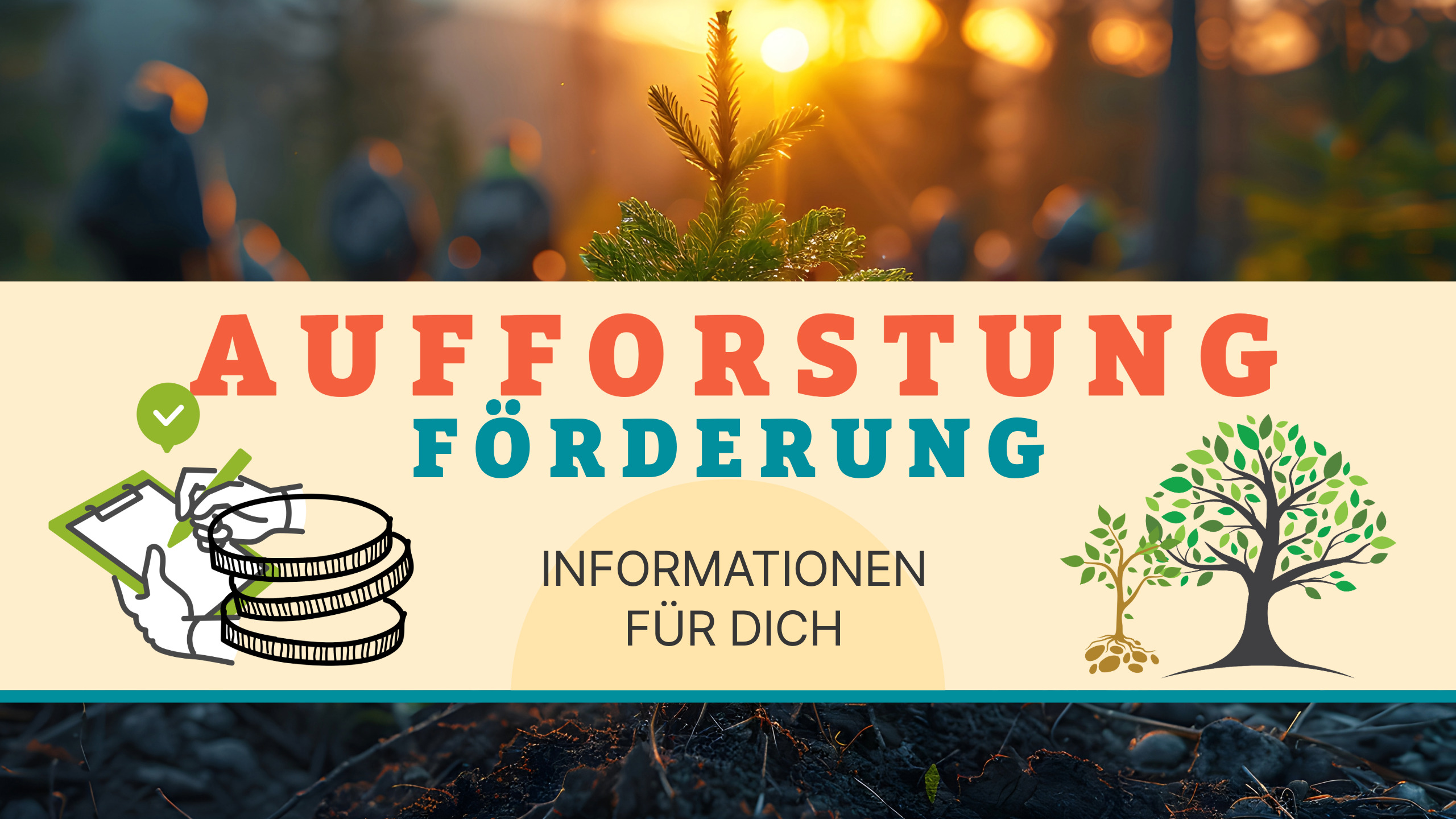 BannerAufforstungFoerderung