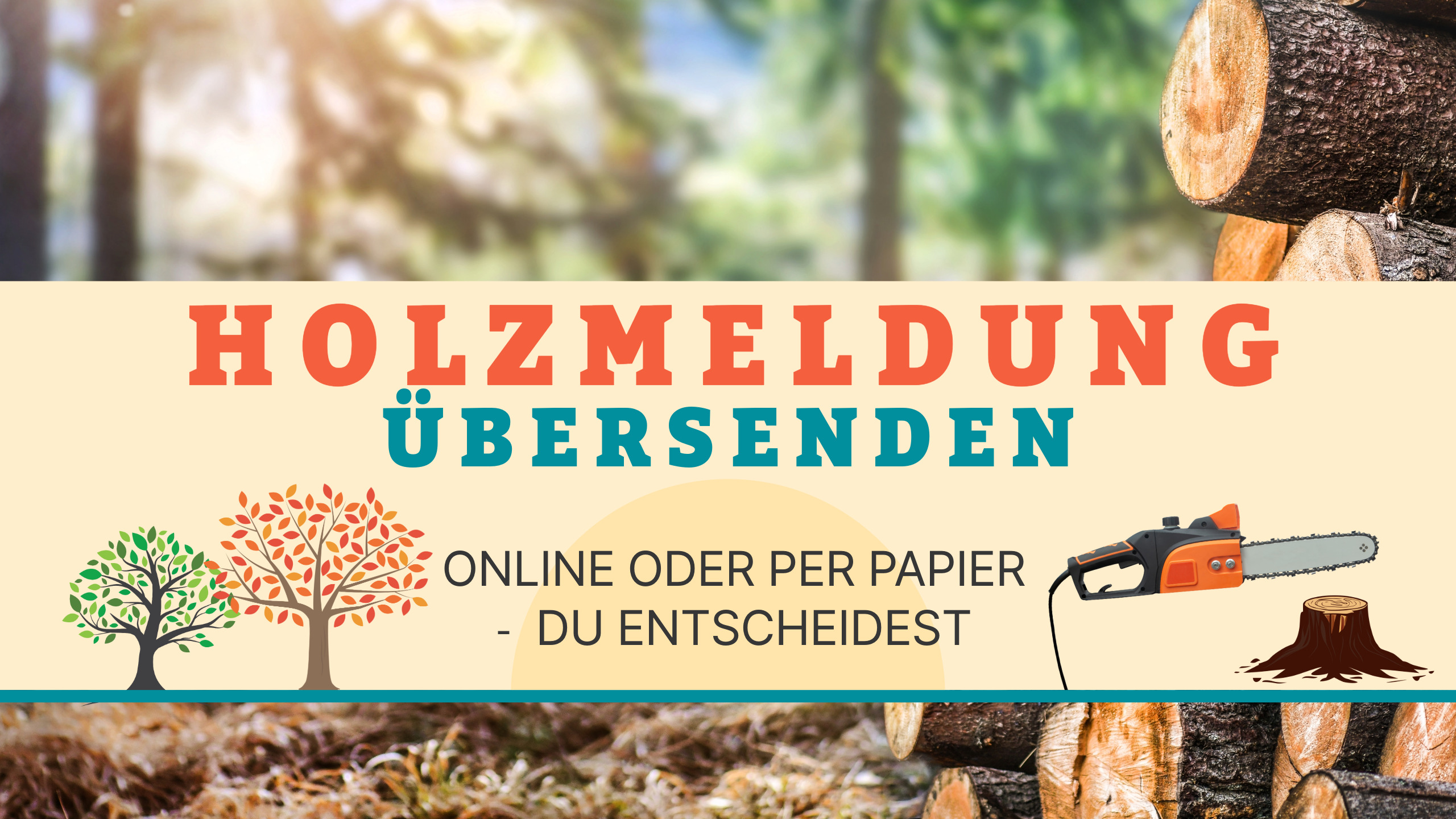 BannerHolzmeldung