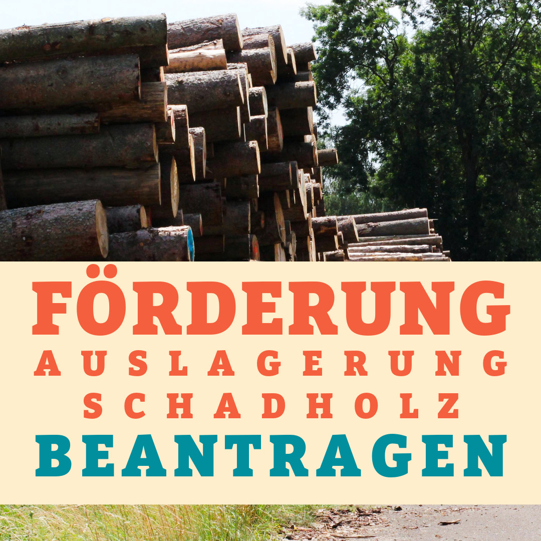 FoerderungAuslagerungSchadholz