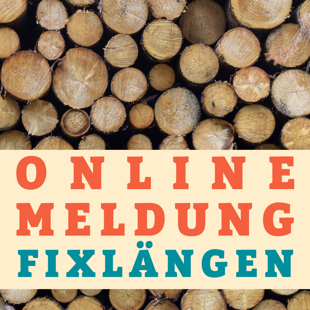 OnlineEinzelFixEinzel