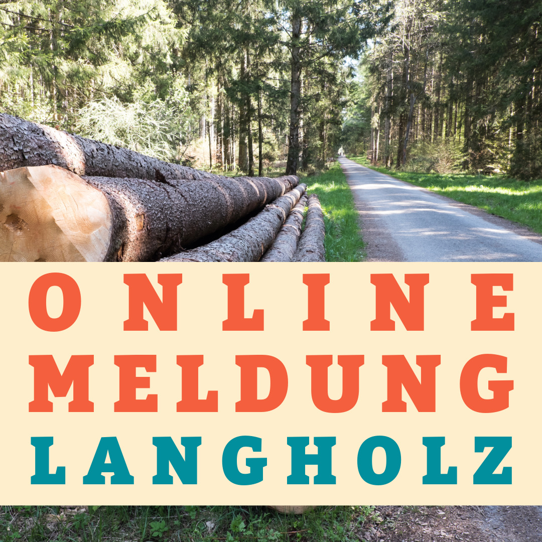 OnlineEinzelLangholz