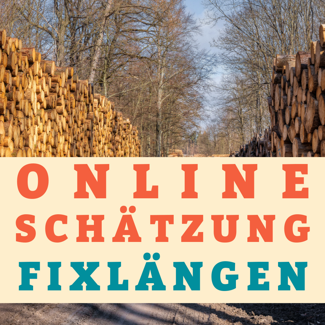 Schaetzung Fixlaengen